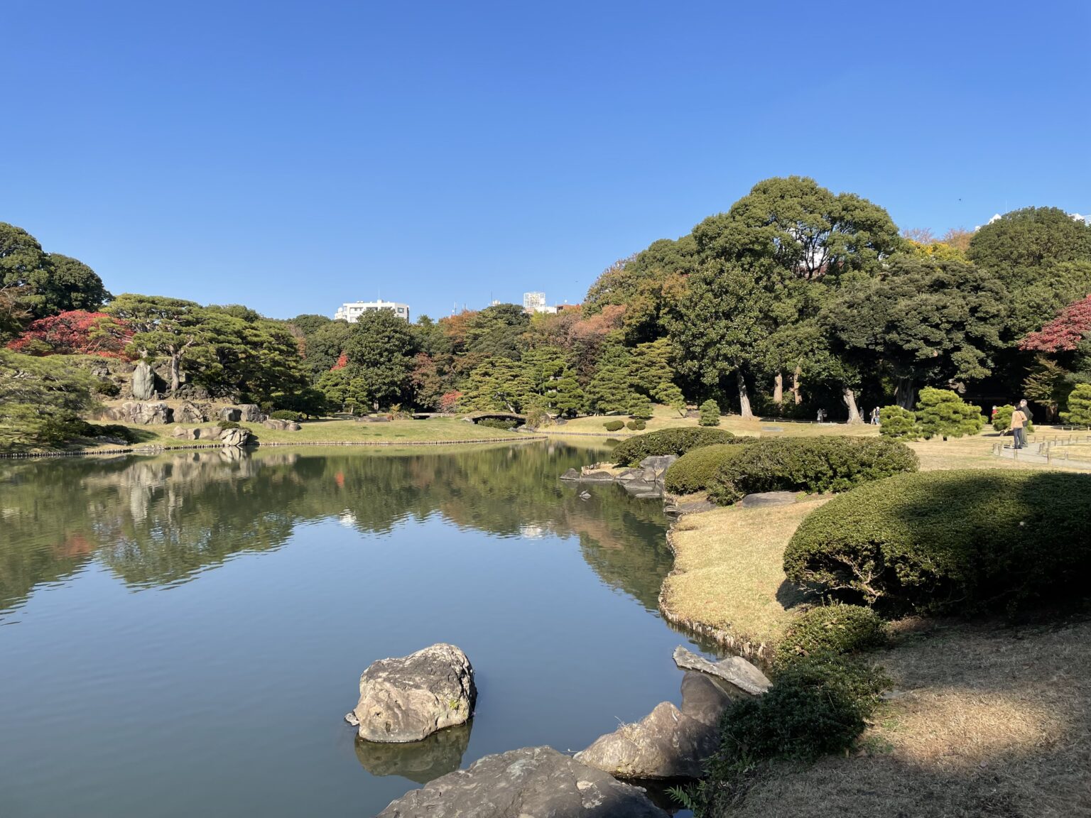 六義園内庭-2