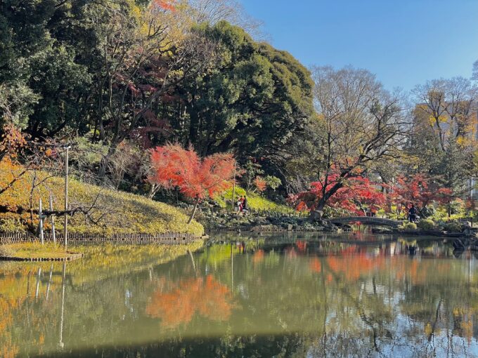 肥後細川庭園の紅葉-10