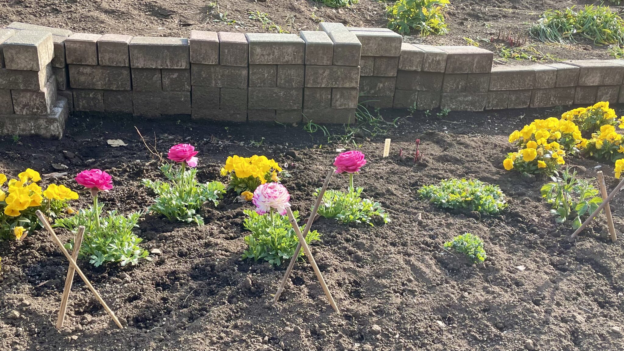 グループウェアのR-Groupでメンバー間の交流の場を作ってみた-その2 | モモのITサロン(旧すまはぴ)