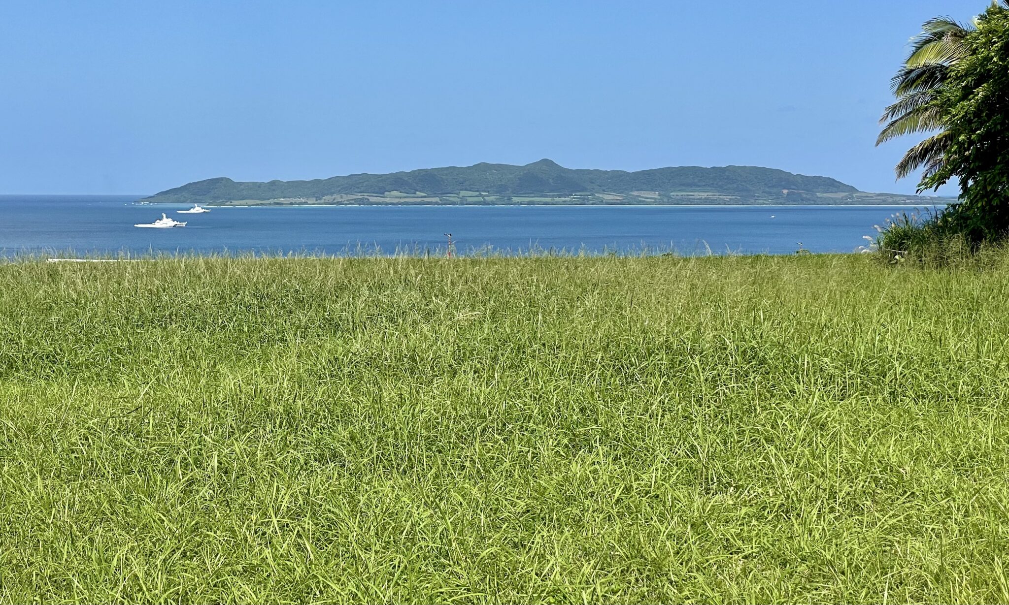 グループウェアのR-Groupでメンバー間の交流の場を作ってみた-その2 | モモのITサロン(旧すまはぴ)